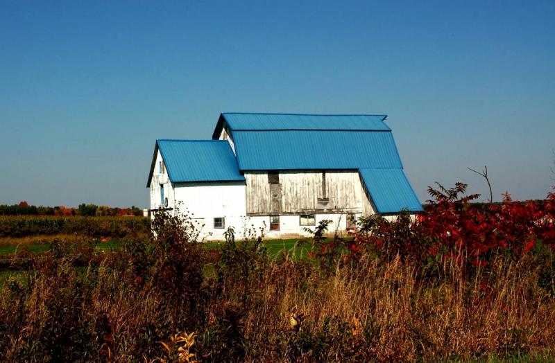 Competition entry: Barn