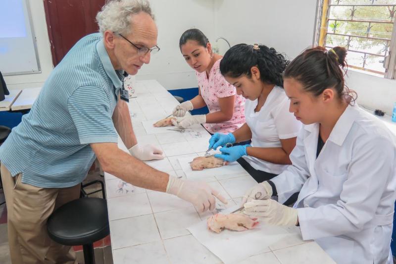 Competition entry: Student Nurses Learn to Suture