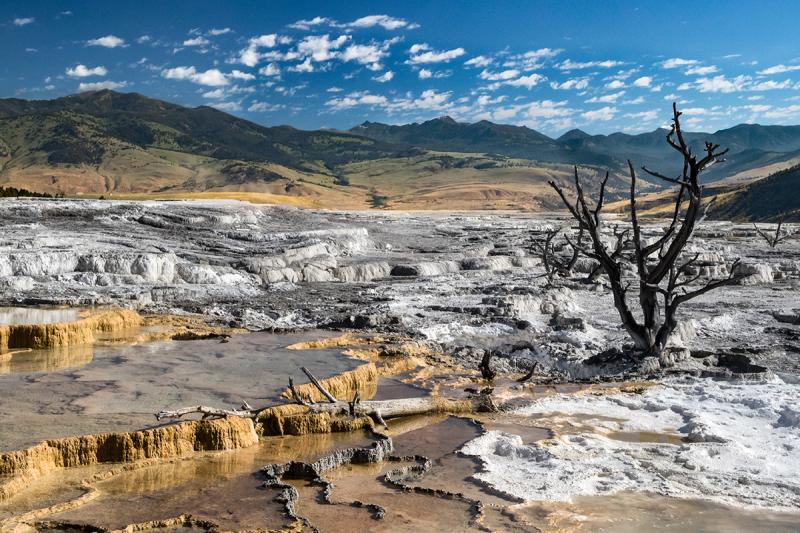 Competition entry: Mammoth Hot Springs- Yellowstone