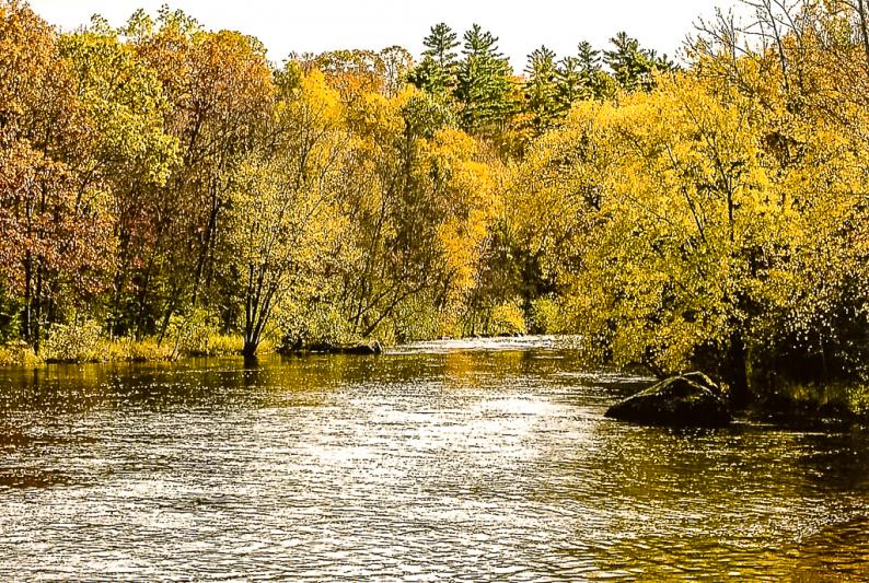 Competition entry: West Fork Chippewa River