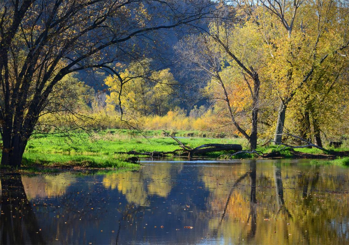 Competition entry: Goose Island Reflections