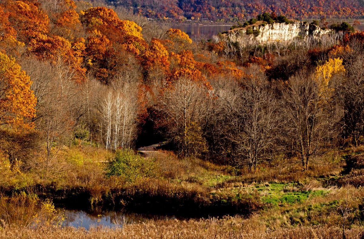 Competition entry: Autumn in Minnesota