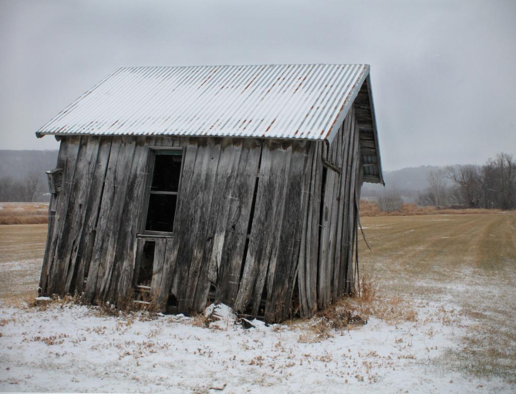 Competition entry: Old leaning shed 2017