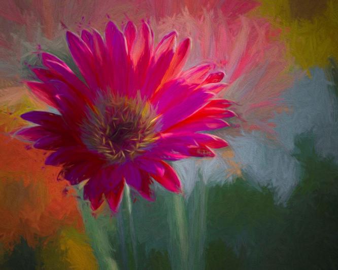 Competition entry: Painted Gerbera