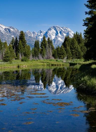 Competition entry: Schwabacher's Landing #2