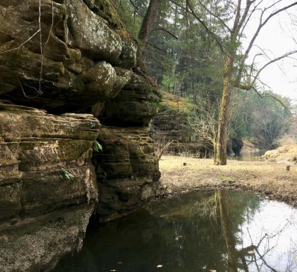 Competition entry: Hiking at Wildcat Mountain State Park