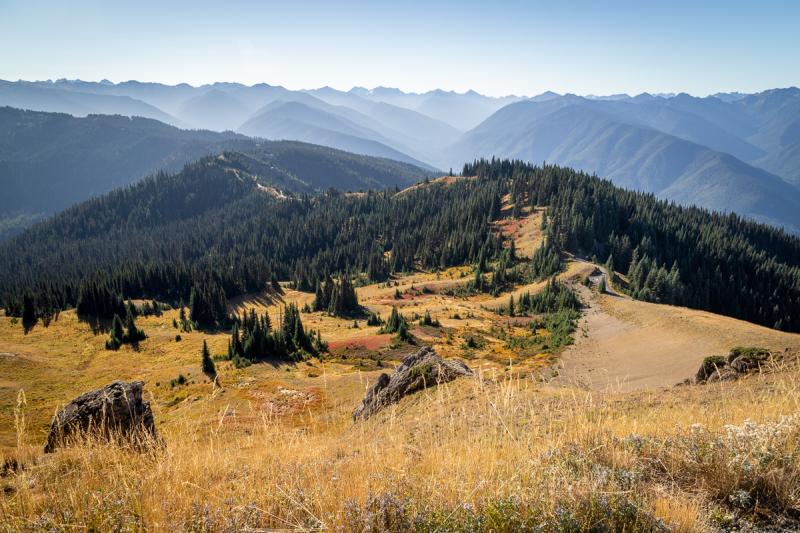 Competition entry: Hurricane Ridge