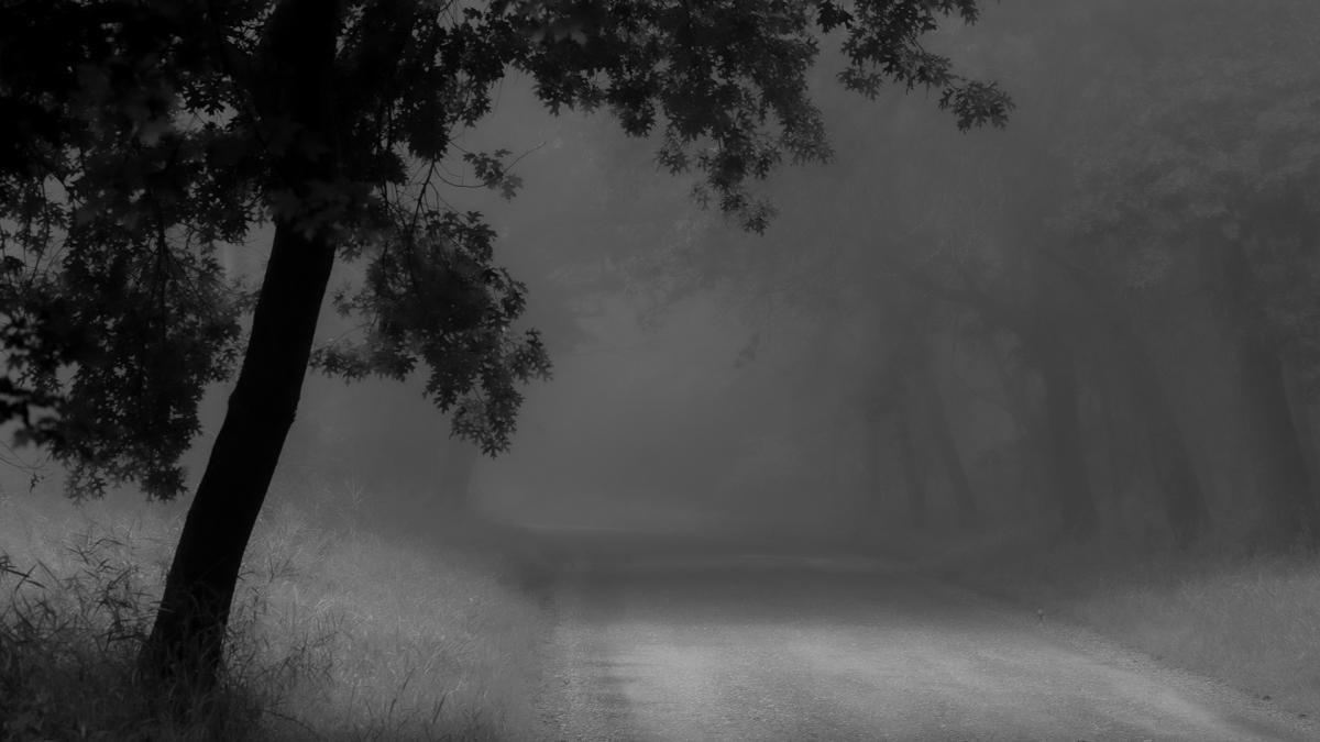 Competition entry: Down the foggy road