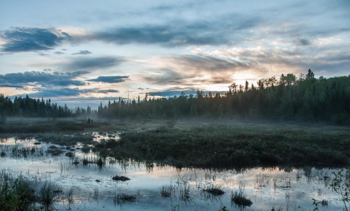 Competition entry: Gunflint Trail, MN