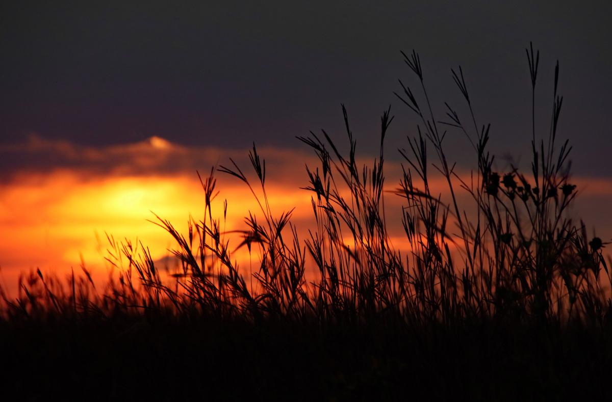 Competition entry: Minnesota Sunset