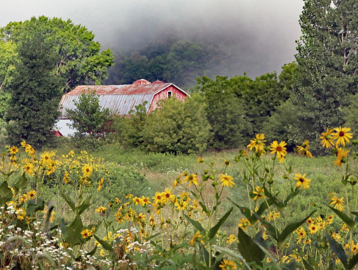 Competition entry: Barn & Flowers