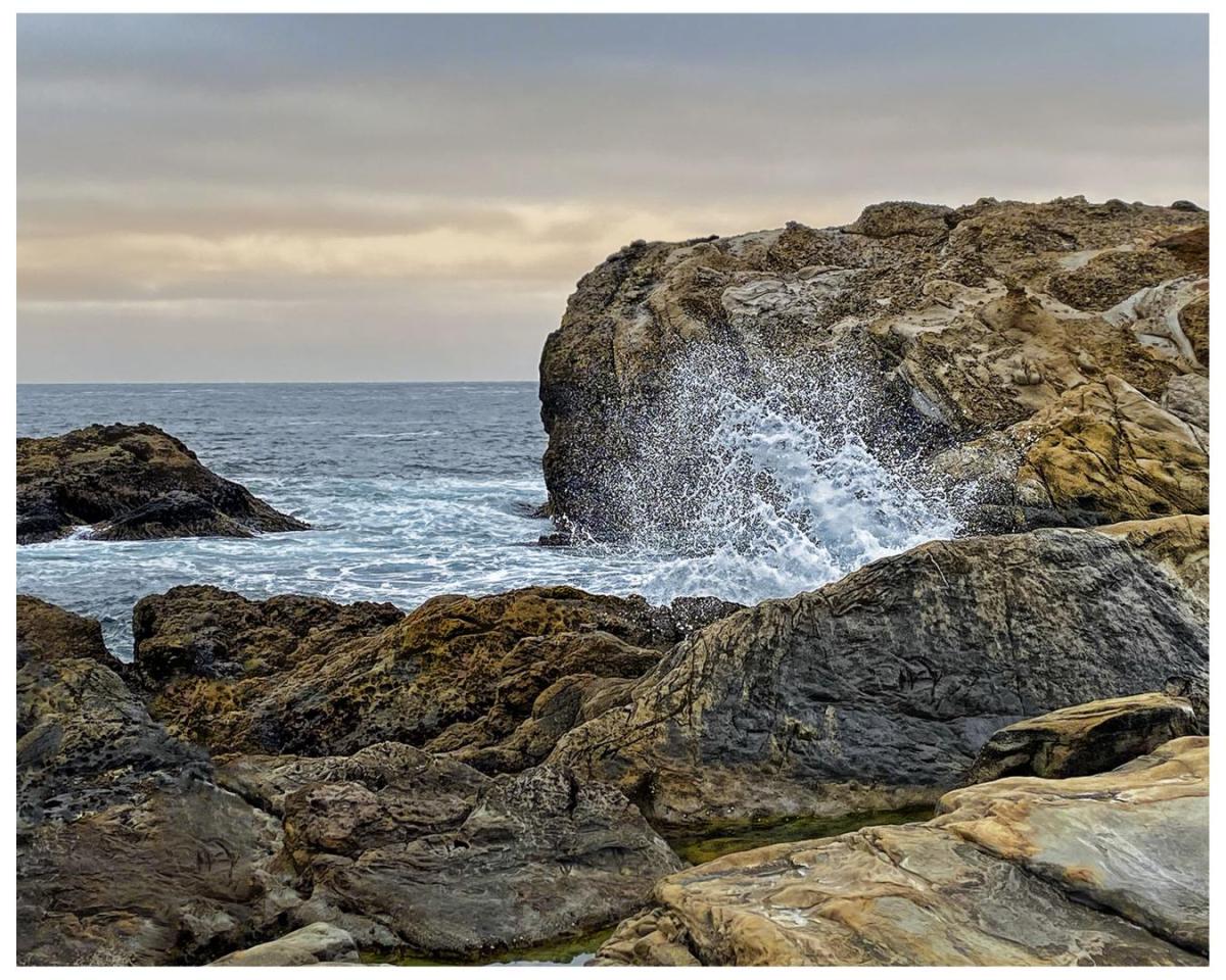 Competition entry: Point Lobos State Natural Reserve, California