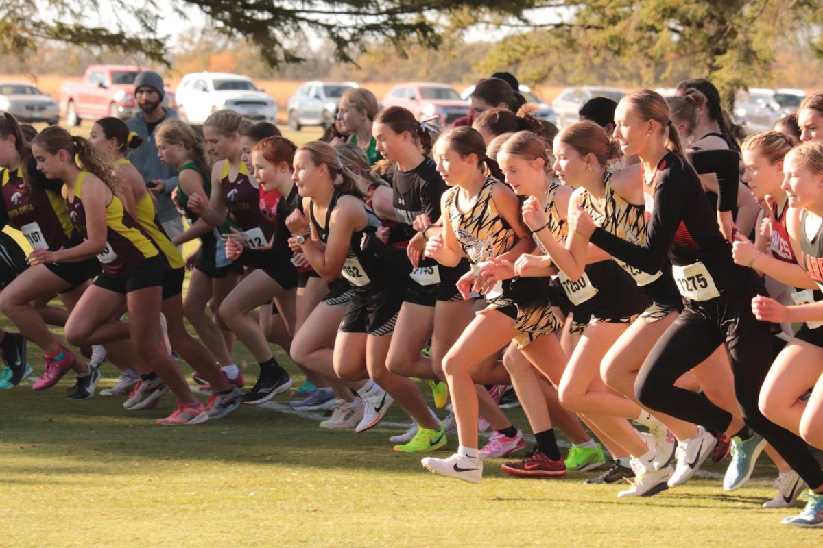 Start of girls Cross Country meet