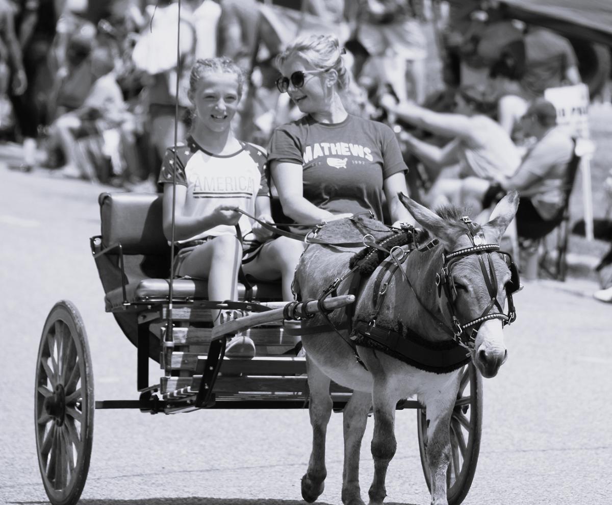 Competition entry: Out for a Stroll