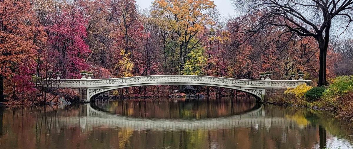 Competition entry: Bow Bridge Central Park NYC