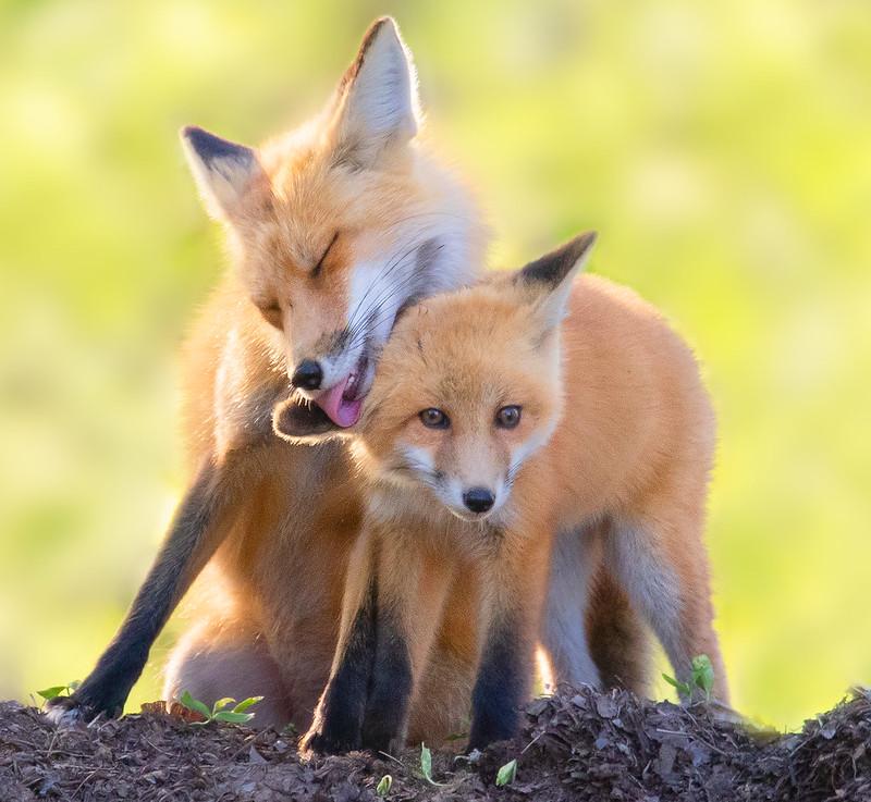 Competition entry: Getting cleaned up