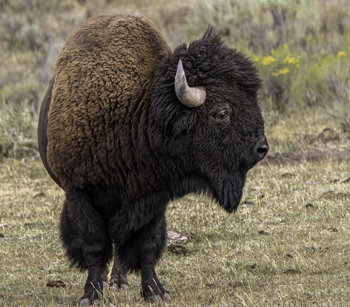 Competition entry: Looking at YOU