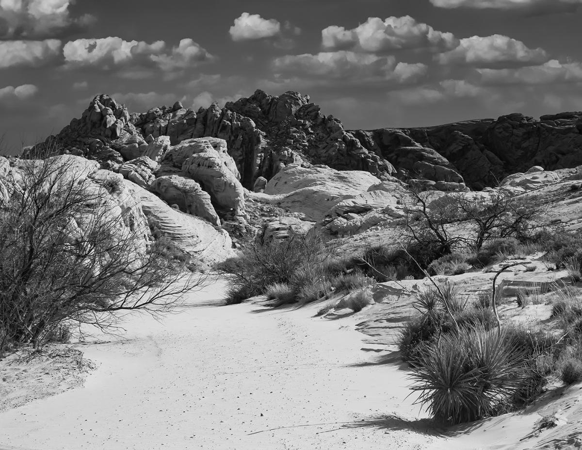 Competition entry: Footprints in the Sand