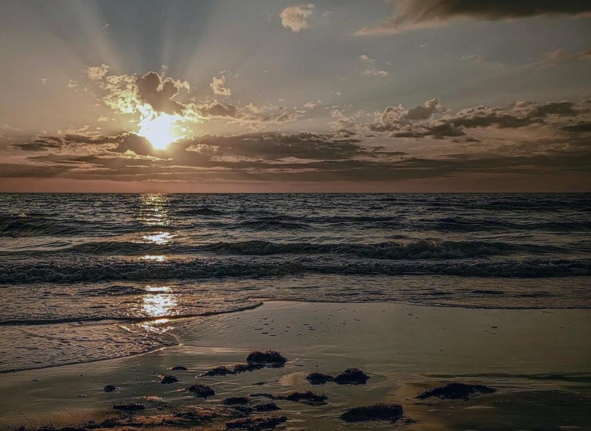 Competition entry: Siesta Key sunset