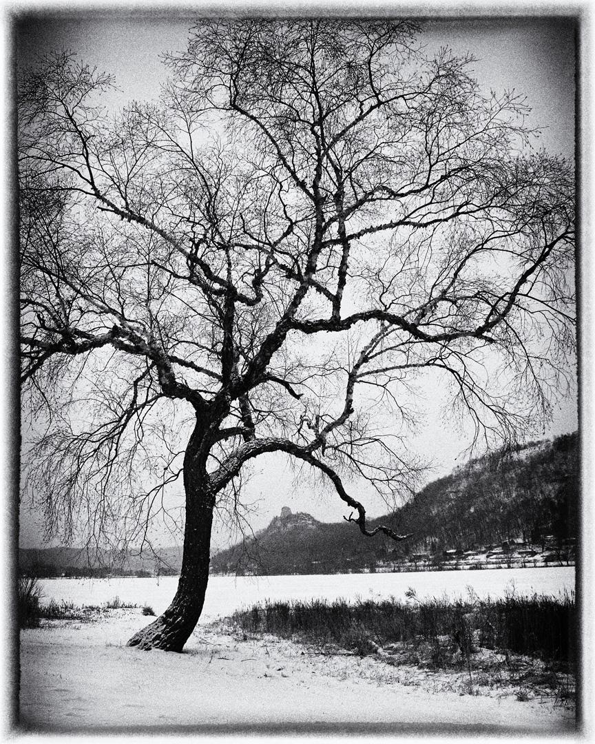 Competition entry: Winter in Winona