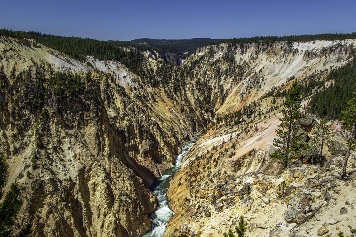 Competition entry: North Rim, Grand Canyon of the Yellowstone