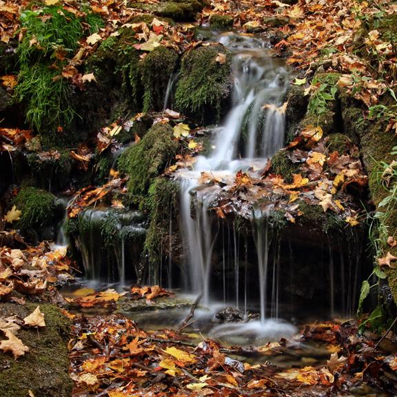 Competition entry: Big Spring