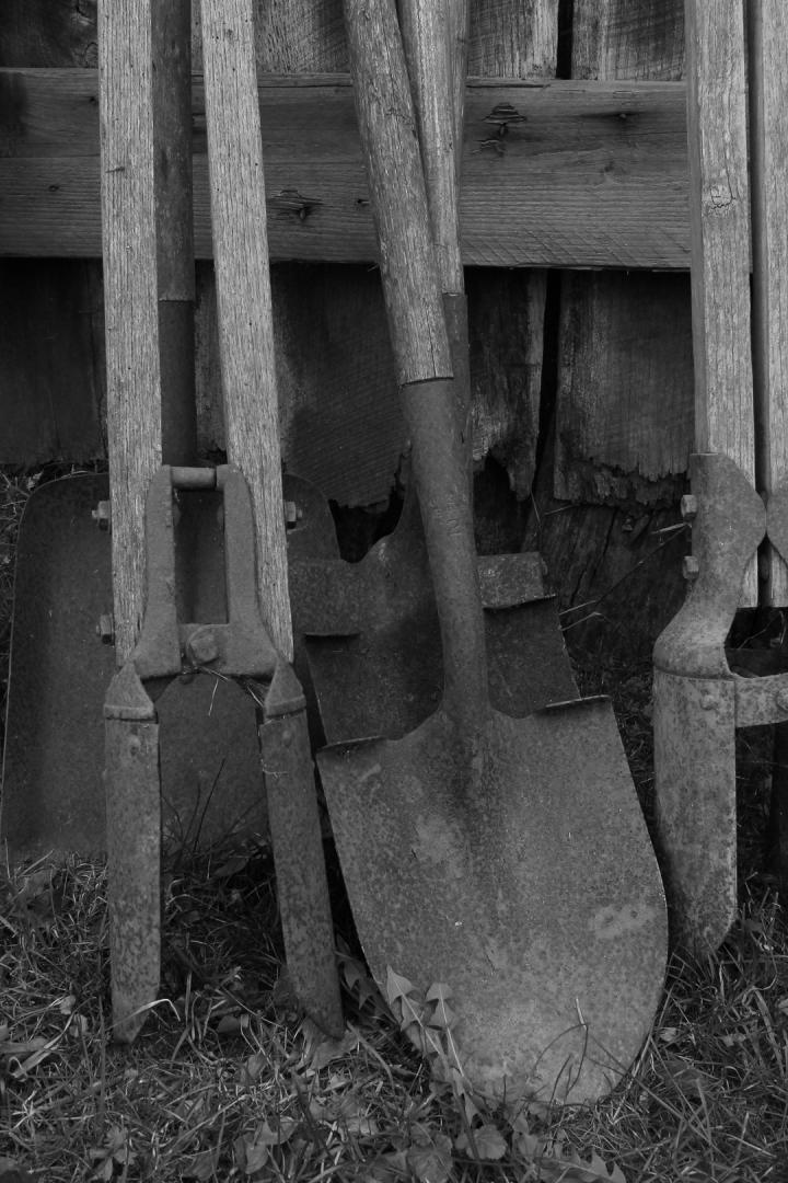 Competition entry: Can you dig it