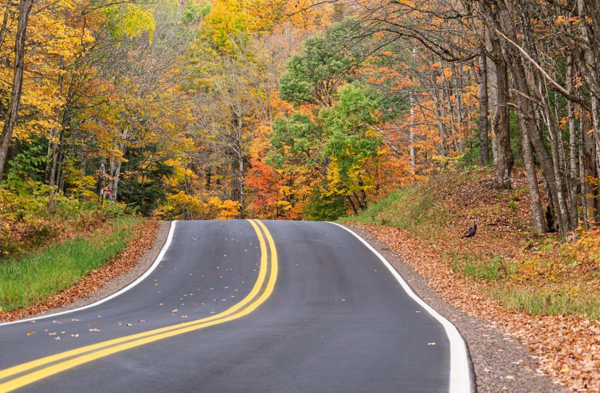 Competition entry: Colorful Drive