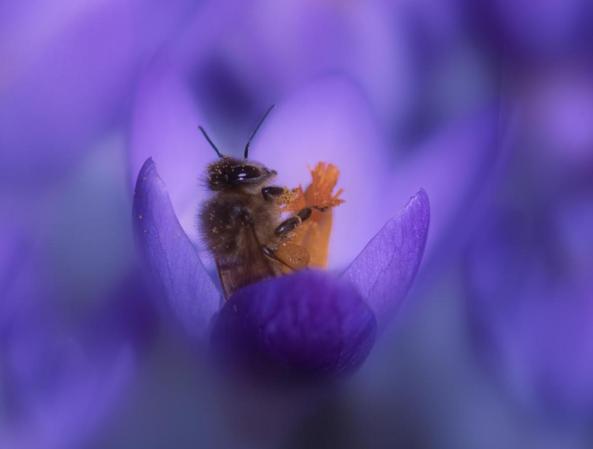 Competition entry: First signs of life