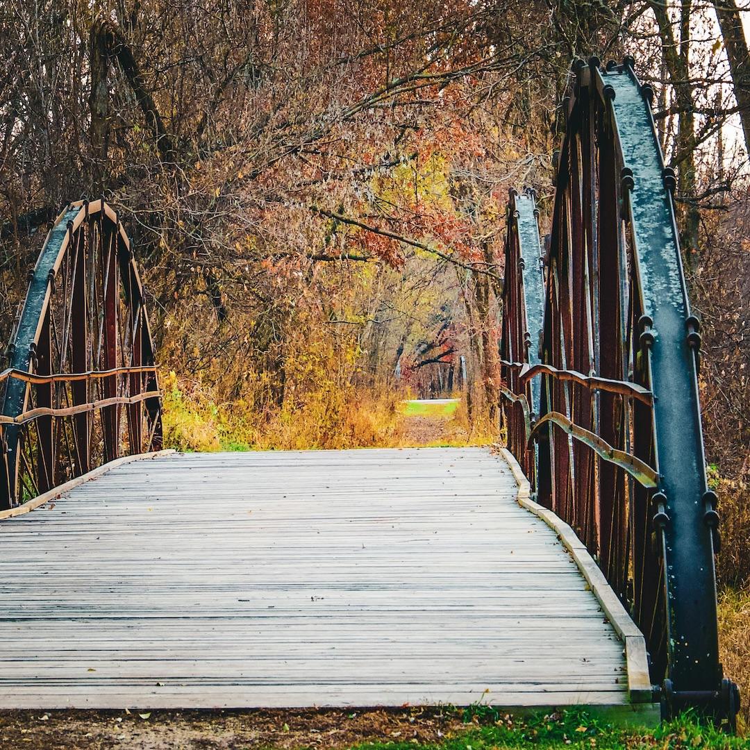 Competition entry: Bridge 4