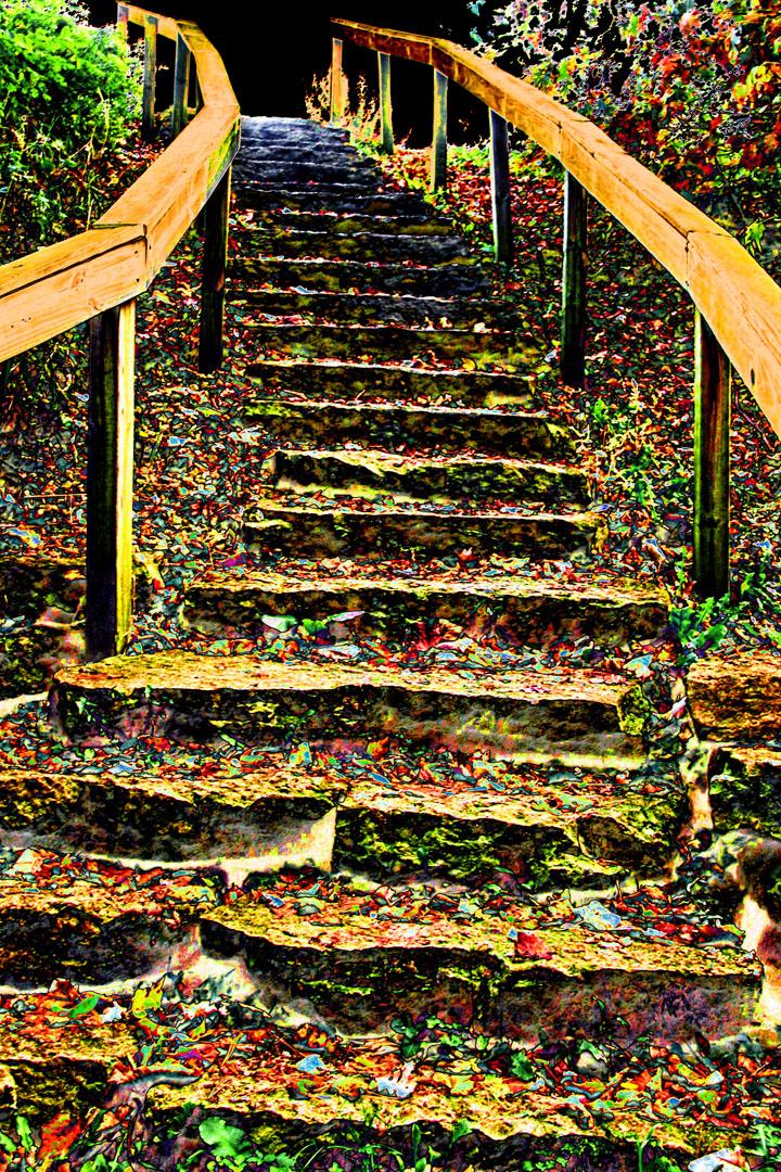Competition entry: Steps at Rustic Mill State Park