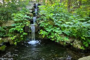 Thin waterfall in greenery.