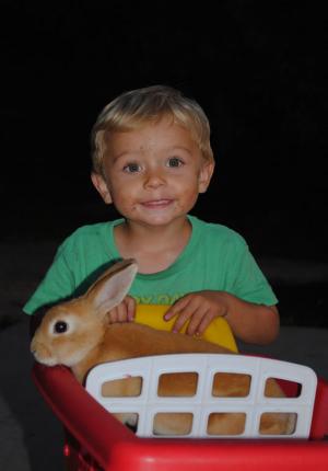Competition entry: Child with Bunny