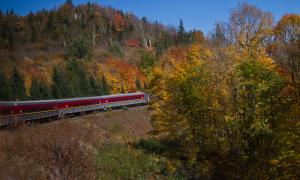 Competition entry: Journey To Agawa Canyon