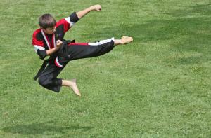 Competition entry: Karate Kid & Shadow