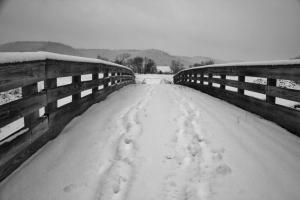 Competition entry: Walk in the Snow over Bridge