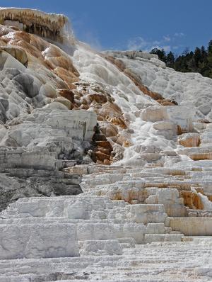 Competition entry: Mammoth Hot Springs - Yellowstone