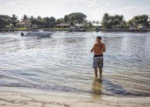 Competition entry: Fishing on the Intracoastal Waterway