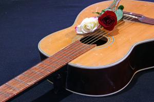 Competition entry: Guitar and Roses