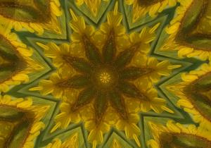 Competition entry: Sunflower Kaleidoscope