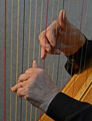 Competition entry: Harpist's Hands