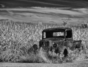 Competition entry: Old Car in Corn