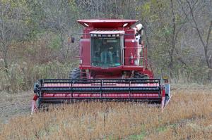 Competition entry: Soybean Harvest
