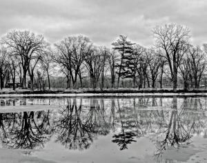 Competition entry: Icy Reflections of Pettibone Park
