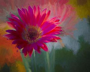Competition entry: Painted Gerbera