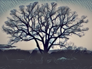 Competition entry: Surreal Tree