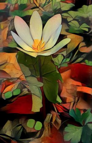 Competition entry: Stained Glass Bloodroot