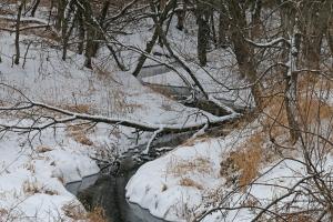 Competition entry: Creek in Winter