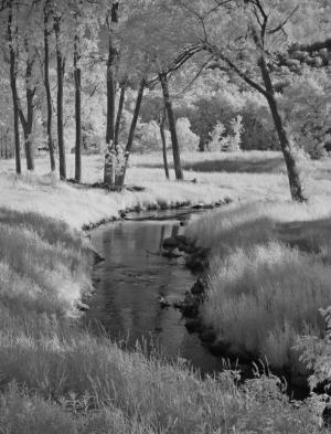 Competition entry: Infrared Stream #6