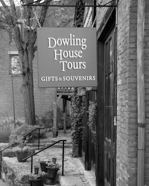 Competition entry: The Dowling House